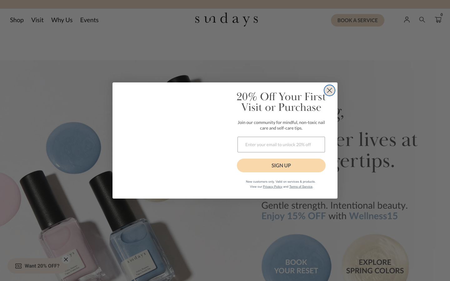 Screenshot of Dear Sundays