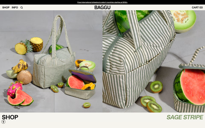 Screenshot of Baggu 2