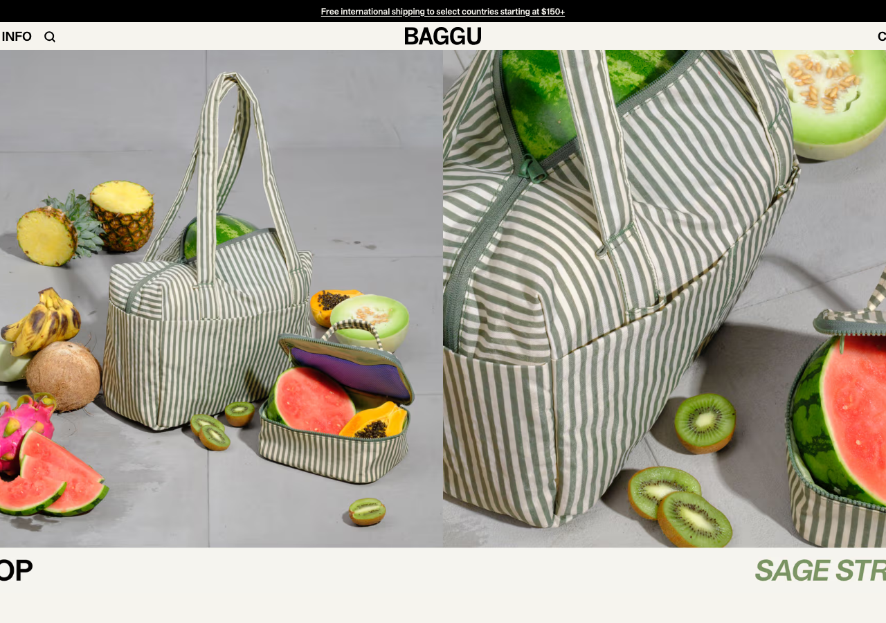 Screenshot of Baggu 2