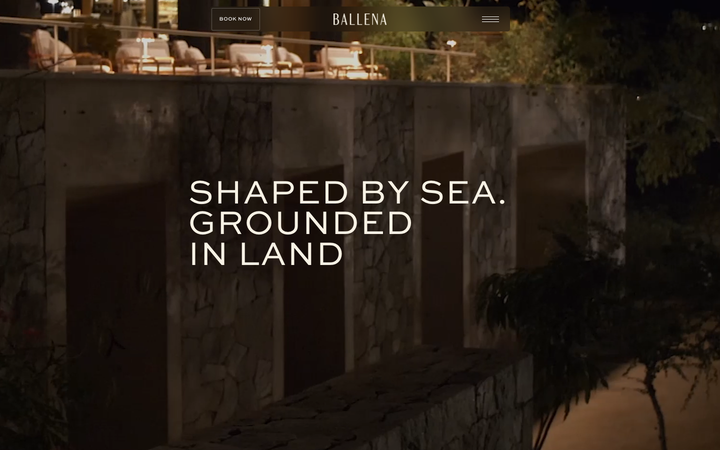 Screenshot of Ballena
