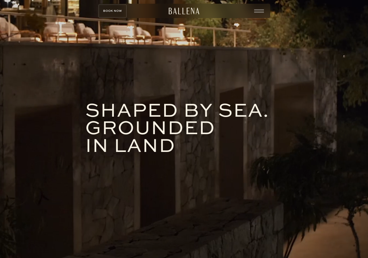 Screenshot of Ballena