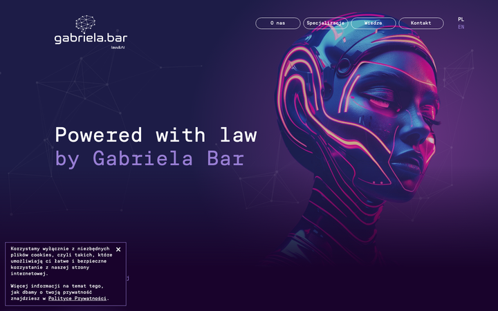 Screenshot of Gabriela Bar Law Ai