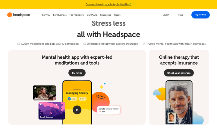 Screenshot of Headspace