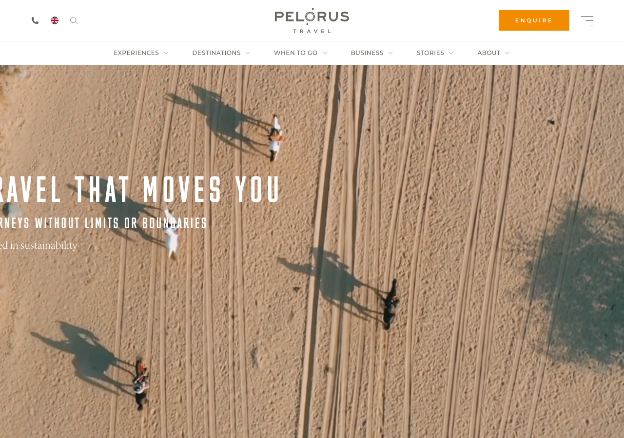 Screenshot of Pelorus