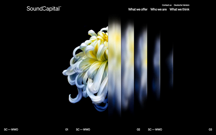 Screenshot of Soundcapital