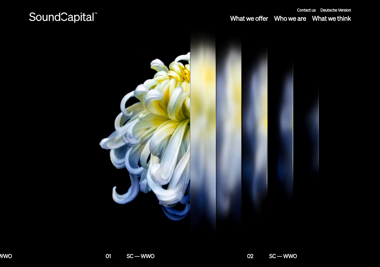 Screenshot of Soundcapital