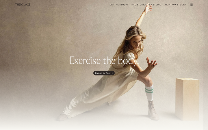 Screenshot of The Class By Taryn Toomey